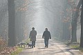 Mooi licht in Beverbeek
